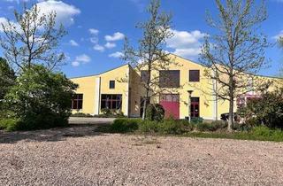 Gewerbeimmobilie kaufen in 97332 Volkach, Betriebsbereites Weingut mit Produktion und Rebland