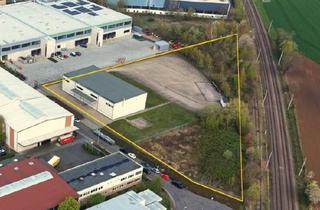 Gewerbeimmobilie mieten in 53340 Meckenheim, Provisionsfrei! Lager-/Logistikhalle im Gewerbegebiet von Meckenheim ab sofort frei!