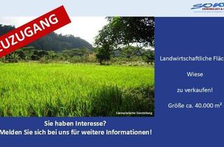 Grundstück zu kaufen in 86669 Königsmoos, Großzügige Landwirtschaftsfläche / Wiese in Königsmoos, evtl. Ausgleichsfläche oder PV - Ein Objekt von SOWA Immobilien & Finanzen Ihrem Immobilienprofi vor Ort