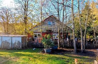 Haus kaufen in 26639 Wiesmoor, Wiesmoor - Sackgassenende, fast Alleinlage +5ha Pacht