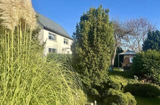 Einfamilienhaus kaufen in Seumestraße 40, 04668 Grimma, Grimma - kleines Einfamilienhaus im schönen Grimma zu verkaufen