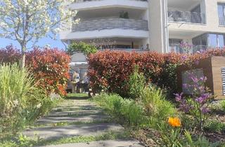 Wohnung kaufen in 79115 Freiburg, Freiburg im Breisgau - Terrassenwohnung zum Kauf