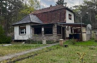 Einfamilienhaus kaufen in 14547 Beelitz, Beelitz - Ruhiges und gemütliches Einfamilienhaus in Beelitz-Fichtenwalde
