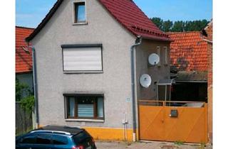 Einfamilienhaus kaufen in 06556 Artern, Artern - Einfamilienhaus mit WerkstattScheune und Garten