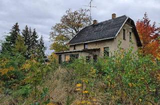 Einfamilienhaus kaufen in 04288 Leipzig, Leipzig - Komplett zu sanierendes freistehendes Einfamilienhaus + 5 Garagen + 3 zusätzliche Bauplätze!