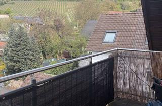 Wohnung mieten in 63755 Alzenau, 2-Zimmer-Wohnung mit Blick auf die Weinberge in Alzenau-Hörstein