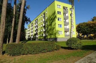 Wohnung mieten in Hegelstraße 23, 19063 Mueßer Holz, Mehr als nur vier Wände – Hier beginnt Ihr neues Kapitel
