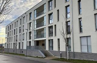 Wohnung mieten in Werastraße 22, 71088 Holzgerlingen, Holzgerlingen, helle 2-Zimmer-Wohnung mit Wohnberechtigungsschein