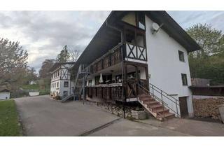 Wohnung mieten in Bleichestr. 12A, 78333 Stockach, SEHENSWERT! Großzügige 4,5 Zi WHG mit EBK, rießen Balkon, Vollbad, Garage+SP, Kamin in Zizenhausen