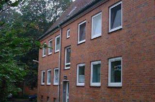 Wohnung mieten in Kollower Str. 40A, 21493 Schwarzenbek, Frisch saniert im Erdgeschoss - Ihre neue Wohnung?