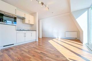 Wohnung mieten in Praßerstraße 4 a, 01900 Großröhrsdorf, Neu renovierte 1-Raumwohnung * DG * Süd-West-Balkon * EBK * Bad mit Dusche * SP * ruhig * TOP