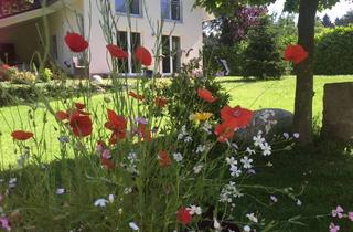 Haus kaufen in Im Walde 17, 21702 Ahlerstedt, Ruhe. Natur. Zuhause. – Modernes Haus inmitten einer Waldoase