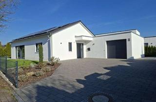 Haus kaufen in 89429 Bachhagel, Willkommen in ihrem Traumhaus - modernes und ebenerdiges Wohnkonzept für die kleine Familie