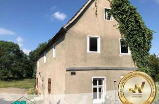 Bauernhaus kaufen in 06231 Tollwitz, altes Bauernhaus mit ca. 1500 m² Grundstück zu verkaufen