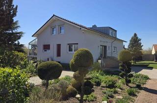 Haus kaufen in 55457 Gensingen, Gensingen - Top saniertes Wohnhaus mit Einliegerwohnung auf großem Grundstück!