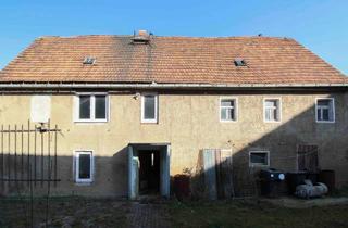 Haus kaufen in 01561 Priestewitz, Großes Grundstück mit Scheune – ideale Neubau- oder Sanierungschance