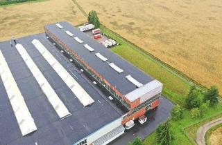 Gewerbeimmobilie mieten in Hans-Bolza-Straße, 97855 Triefenstein, 14m Hallenhöhe UKB: Lager- und Produktionsflächen bei Würzburg