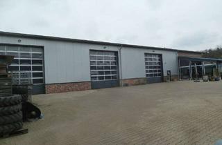 Gewerbeimmobilie kaufen in 26169 Friesoythe, Werkstatt-/Produktionshalle mit Büros + Wohnbereich im Gewerbegebiet Markhausen – Keine Käuferprov.