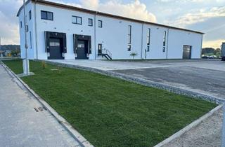Büro zu mieten in Schellberg West, 84347 Pfarrkirchen, Neuwertige Lagerhalle / Büroräume