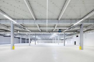 Gewerbeimmobilie mieten in Eichborndamm 141-165, 13403 Wittenau, Berlin-Reinickendorf: ​Ihre neue Logistikdrehscheibe: Flexible Halle mit topmodernen LKW-Docks!