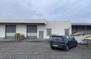 Büro zu mieten in Borchener Str. 332 b, 33106 Paderborn, Hallenfläche mit Büro und Außenbereich am Autohof Paderborn - TOP Verkehrsanbindung