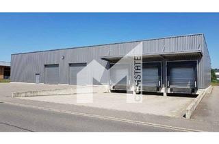 Gewerbeimmobilie mieten in 47877 Willich, LOGISTIK | RAMPE | HALLE | EBENERDIGES TOR | COMSTATE