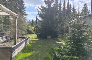 Grundstück zu kaufen in 01471 Radeburg, Attraktives Freizeitgrundstück mit Gartenhaus in idyllischer Lage bei Radeburg