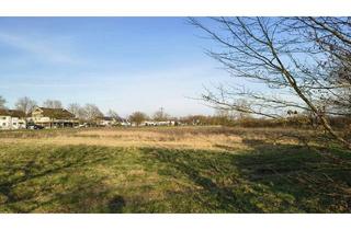 Grundstück zu kaufen in 76448 Durmersheim, 2 Bauplätze je ca. 320 m² - Platz für Ihren Wohntraum | Durmersheim