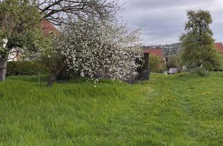 Grundstück zu kaufen in 73269 Hochdorf, Sehr schöner Bauplatz für ein EFH in Randlage von Hochdorf