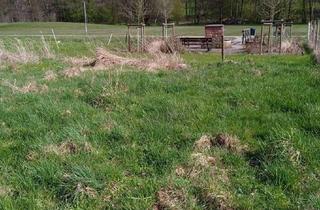 Grundstück zu kaufen in 63872 Heimbuchenthal, Traumgrundstück mit Aussicht im Spessart/Nähe Frankfurt