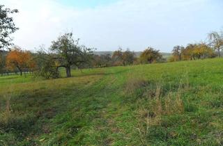 Immobilie mieten in 73271 Holzmaden, Möbliertes 1-Zimmer-Apartment, nur Monteure oder Pendler