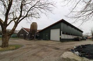 Lager kaufen in 26446 Friedeburg, Boxenlaufstall, Güllelager und ca. 3,20 ha Grünland