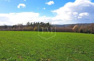 Immobilie kaufen in 42651 Solingen-Mitte, Land- und forstwirtschaftliche Liegenschaft in Solingen
