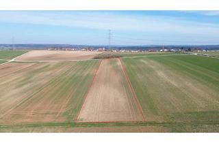 Gewerbeimmobilie kaufen in 85113 Böhmfeld, Ackerland in Böhmfeld - 11.400 m²