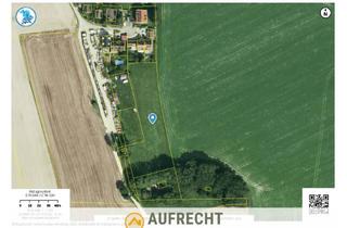 Gewerbeimmobilie kaufen in 85244 Röhrmoos, A U F R E C H T °0,38 HA LNF IN ORTSRANDLAGE° Ackerland in der Gmd. Röhrmoos/Lkr. DAH