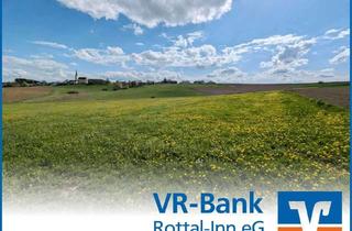 Gewerbeimmobilie kaufen in 84337 Schönau, Bieterverfahren: Landwirtschaftliches Grundstück bei Neuhofen