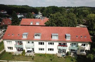 Wohnung mieten in Drosselstieg, 23701 Eutin, Charmante 3-Zimmer-Wohnung im Dachgeschoss – ruhig gelegen in Eutin