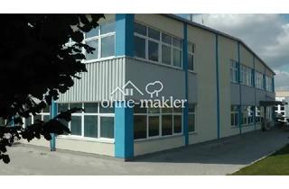 Büro zu mieten in 89290 Buch, Einzeln oder in Kombination: Büro-, Lager- und Produktionsflächen (550/440/105 qm)