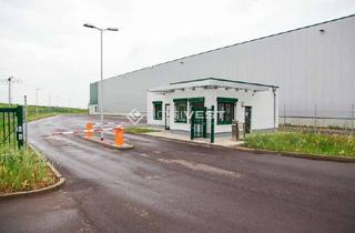 Gewerbeimmobilie kaufen in 04720 Mochau, Neuwertige Light-Industrial-Immobilie mit Krananlagen an der A14 zwischen Leipzig & Dresden!