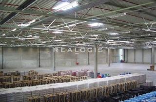 Gewerbeimmobilie mieten in 91353 Hausen, Ab sofort verfügbar - ca. 2.800 m² Lagerfläche zu vermieten