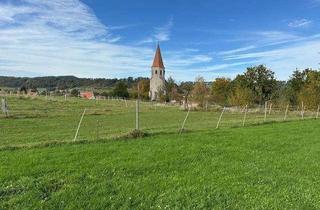 Grundstück zu kaufen in 96152 Burghaslach, Ideales Grundstück zum Hausbau, in traumhafter Natur (Steigerwald), herrlicher Ausblick, erschlossen
