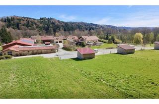 Immobilie kaufen in 94530 Auerbach, Weitläufige Ranch mit 16ha arrondierter Fläche und guter Verkehrsanbindung