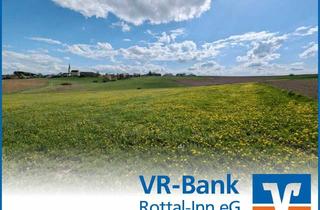 Immobilie kaufen in 84337 Schönau, Bieterverfahren: Landwirtschaftliches Grundstück bei Neuhofen