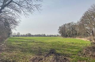 Immobilie kaufen in 28816 Stuhr, Grün- und Ackerland in Groß-Mackenstedt - Bieterverfahren bis zum 01.06.2026!