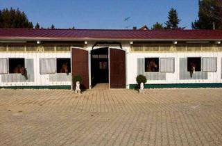 Haus kaufen in 72818 Trochtelfingen, Trochtelfingen - Kleine Reitanlage mit Wohnhaus