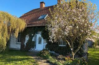 Einfamilienhaus kaufen in 26349 Jade, Jade - Charmantes Einfamilienhaus mit großem Garten