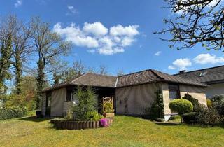 Haus kaufen in 33758 Schloß Holte-Stukenbrock, Schloß Holte-Stukenbrock - Verklinkerter Bungalow mit viel Privatsphäre, großes Grundstück