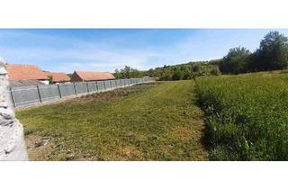 Haus kaufen in 74564 Crailsheim, Crailsheim - Haus in Siebenburgen zu verkaufen