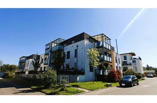 Penthouse mieten in Straßburger Straße 10a, 77955 Ettenheim, 3 Zimmer Penthouse Wohnung mit EBK und TG Stellplatz