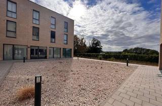 Wohnung mieten in 65375 Oestrich-Winkel, Smarte + möblierte Studentenwohnung am EBS Campus im "Rhein Village"